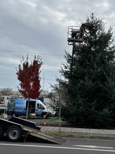 menswear-store-salem-or-the-natty-dresser-11-17-2025-003